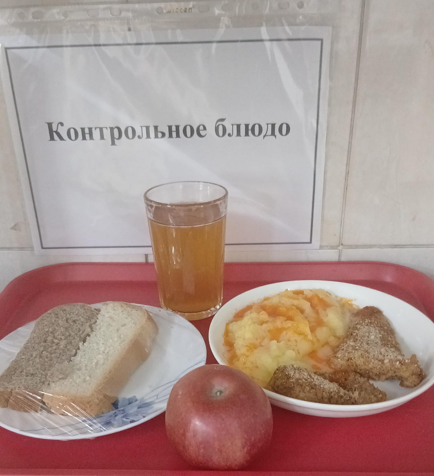 Күнделікті тегін тамақтану мәзірі